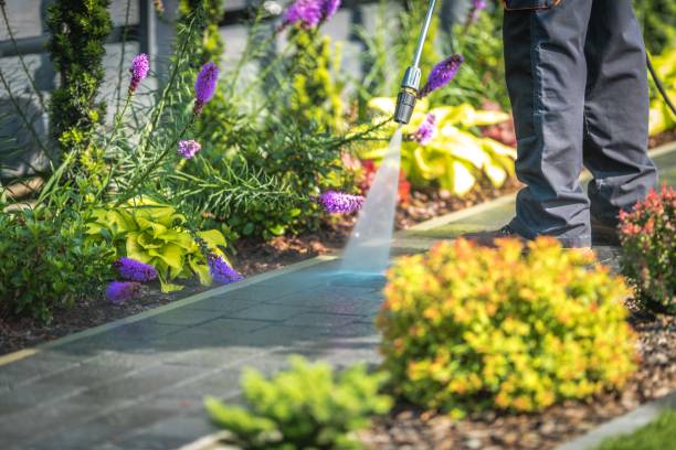 Best Deck and Patio Pressure Washing in Stratford, WI
